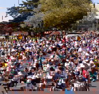 Bathurst Edgell Jog - Kawana Tourism