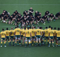 Bledisloe Cup Double-Header Qantas Wallabies v All Blacks  Buildcorp Wallaroos v Black Ferns - Kawana Tourism