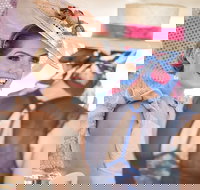 Cairns Amateurs - Kawana Tourism