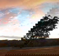 Christmas in July Jumpers and Jazz - Kawana Tourism