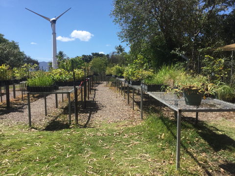Conservation Volunteers Australia Townsville - Ocean View Nursery - Kawana Tourism 0