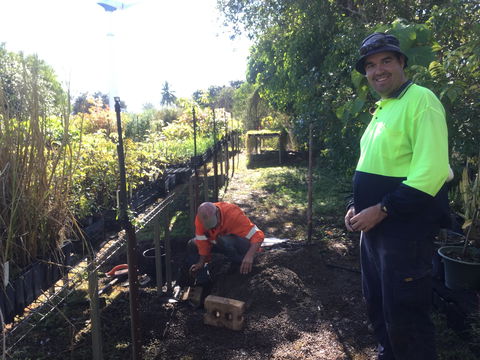 Conservation Volunteers Australia Townsville - Ocean View Nursery - Kawana Tourism 1