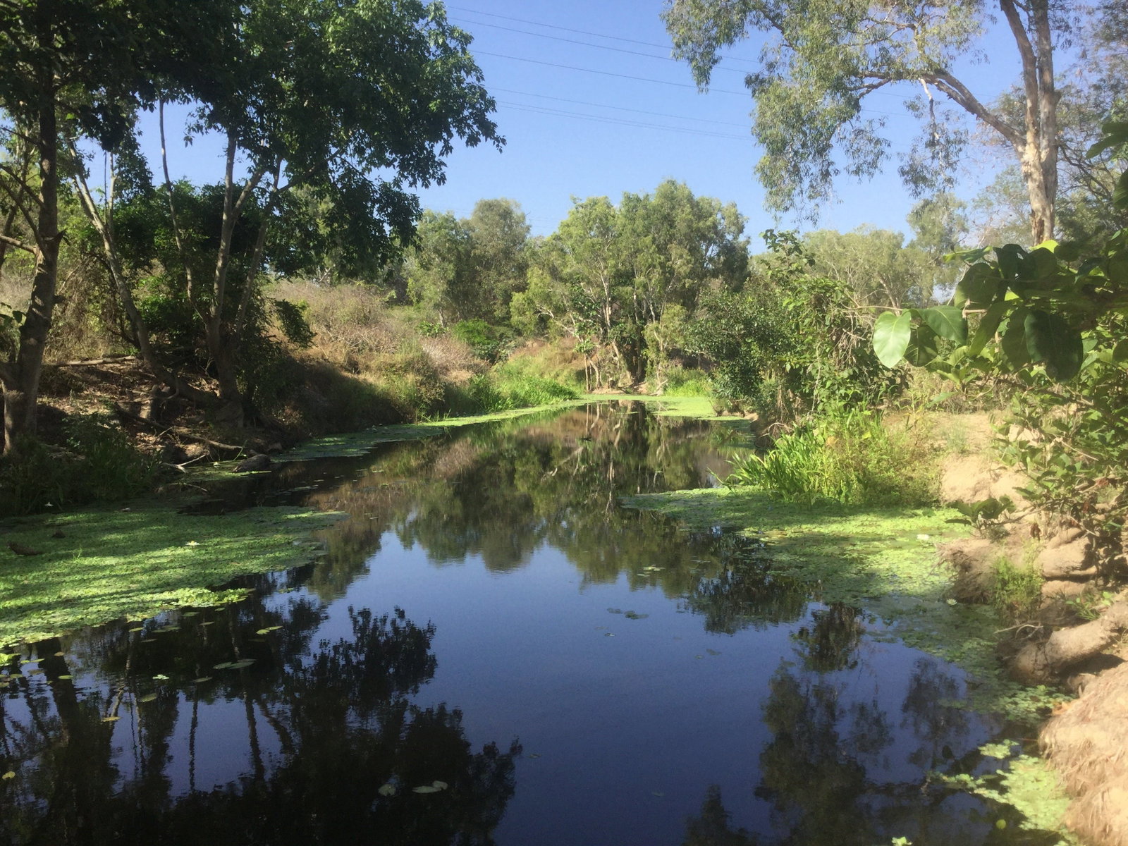 Belgian Gardens QLD Kawana Tourism
