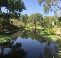 Conservation Volunteers Australia Townsville - Creekwatch - Kawana Tourism