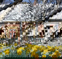 Daffodils at Rydal - Kawana Tourism