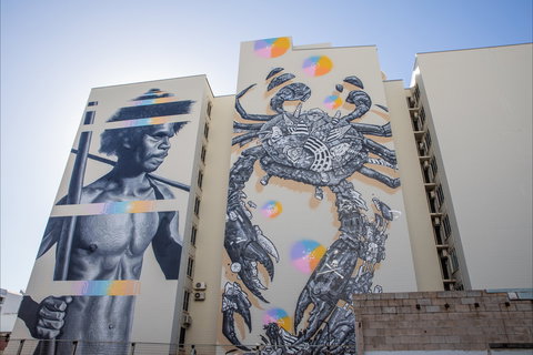 Darwin Street Art Festival - Kawana Tourism 2