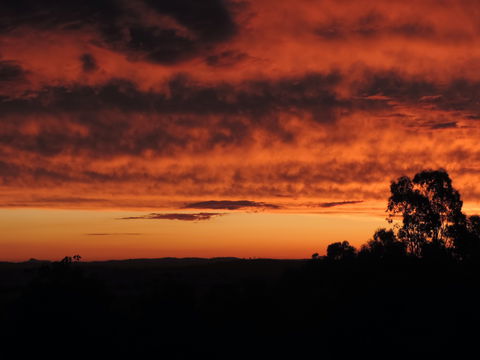 Father's Day At Cottontail Wines - Kawana Tourism 0