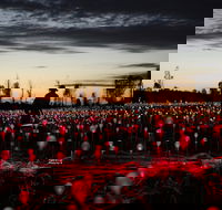 Field of Light Uluru - Kawana Tourism