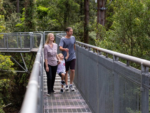 Get Back To Nature These July School Holidays! - Kawana Tourism 1