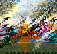 Griffith Spring Fest -  Multicultural Festival - Kawana Tourism