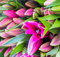 Harvest Launceston Community Farmers' Market - Kawana Tourism