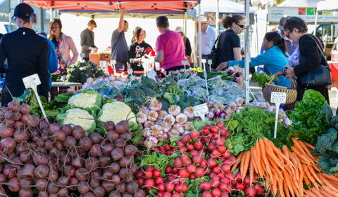 Harvest Launceston Community Farmers' Market - Kawana Tourism 2