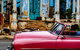 Havana Nights - thumb 2