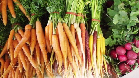 Joondalup Growers Market - Kawana Tourism 0