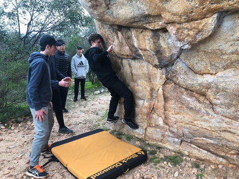 July 2020 Holidays- Forest Adventures Treasure Hunt - Kawana Tourism 1