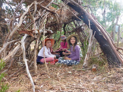 July 2020 Holidays- Forest Adventures Treasure Hunt - Kawana Tourism 2