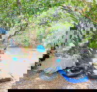 Jungle Love Festival - Kawana Tourism