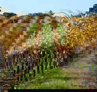 Miners Ridge Wine Tasting - Kawana Tourism