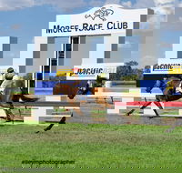 Moree Race Club TAB Race Day - Kawana Tourism