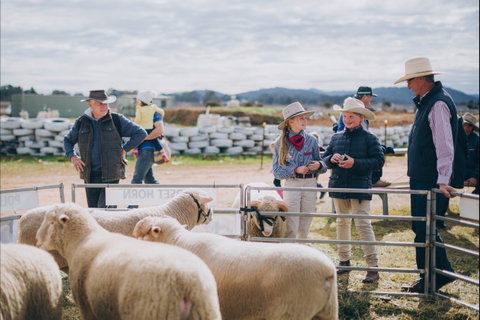 Mudgee Small Farm Field Days - Kawana Tourism 0