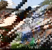 Sale  Producers Market - Kawana Tourism