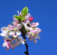Spring time at Hunter Valley Gardens - Kawana Tourism