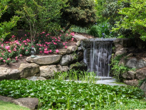 Spring Time At Hunter Valley Gardens - Kawana Tourism 1