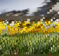 Sunday at Cruden Farm - Kawana Tourism