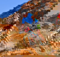 The Redback - Kawana Tourism