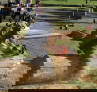 Tocal Field Days - Kawana Tourism