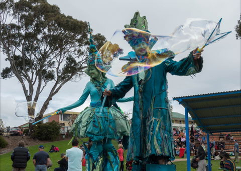 Tulip Festival Wynyard - Kawana Tourism 0