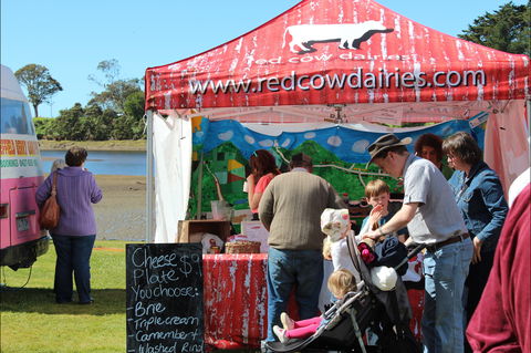 Tulip Festival Wynyard - Kawana Tourism 1