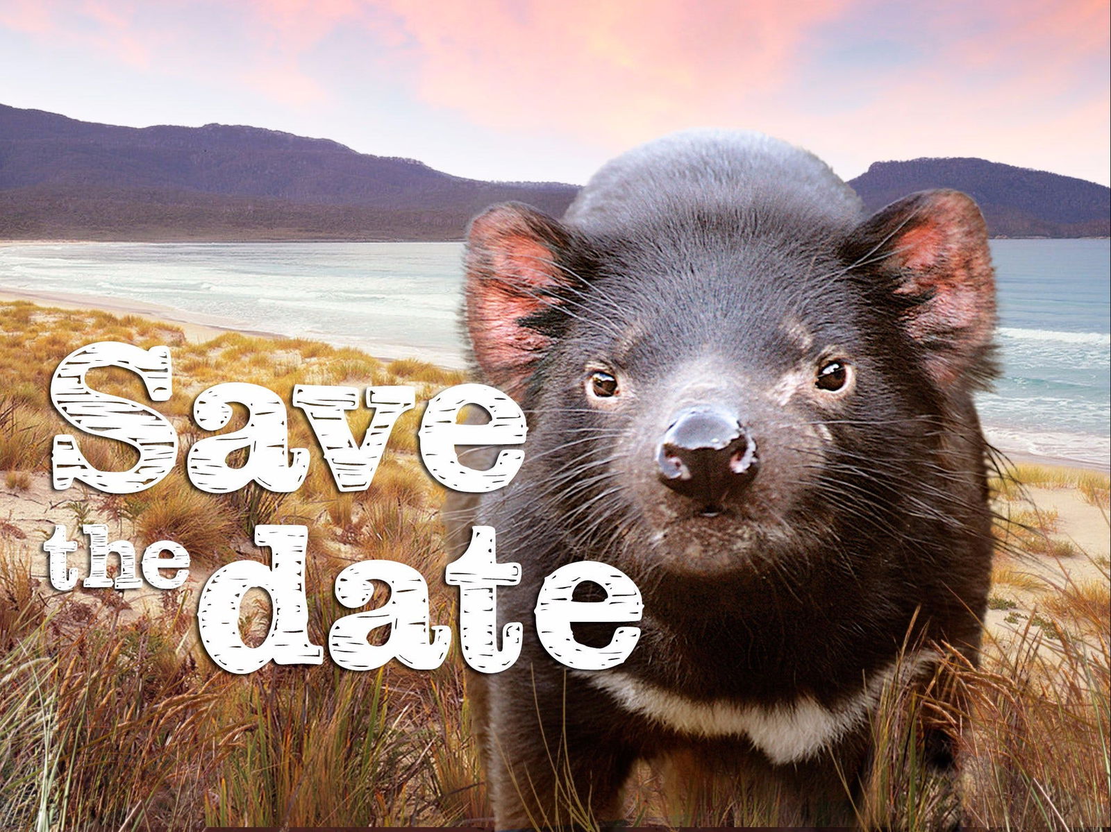 Levendale TAS Kawana Tourism