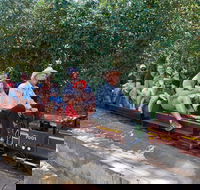 Twilight Run   Willans Hill Miniature Railway - Kawana Tourism