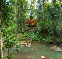 The Canopy Rainforest Treehouses and Wildlife Sanctuary - Kawana Tourism