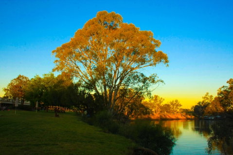 Cadell On The Murray Motel Resort - Kawana Tourism 0