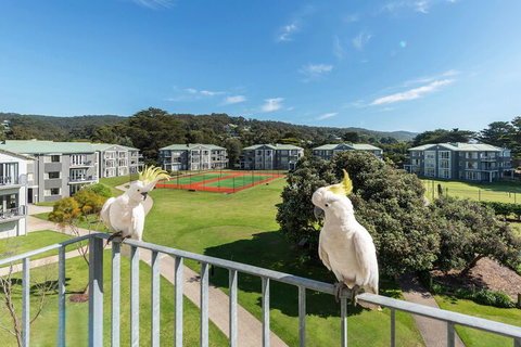 Mantra Lorne - Kawana Tourism 3