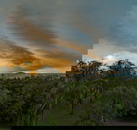 Ocean International - Kawana Tourism