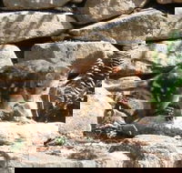 Jenolan Caves House - Kawana Tourism