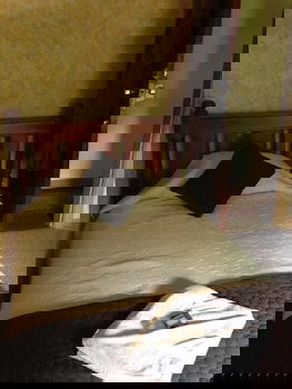 Walcha Royal Accommodation - Kawana Tourism 2