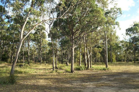 Hobart Bush Cabins - Kawana Tourism 2