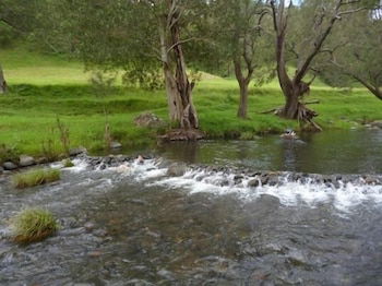 Christmas Creek Cafe & Cabins - Kawana Tourism 4