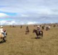 Susan River Homestead - Kawana Tourism
