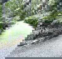 Mountain Lodge - Kawana Tourism