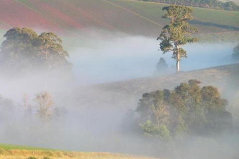 SIGNAL BOX Short Stay - Kawana Tourism 4