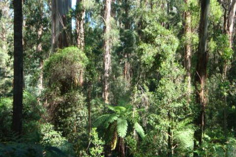 SIGNAL BOX Short Stay - Kawana Tourism 3