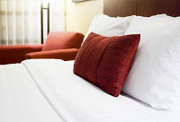 Eaglehawk Cafe & Guesthouse Hotel Eaglehawk Neck - Kawana Tourism 0