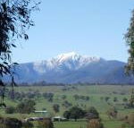 Off Mountain Accommodation - Kawana Tourism