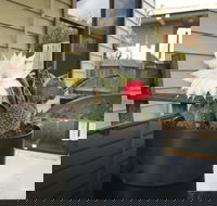 Port Campbell Guesthouse  Flash Packers