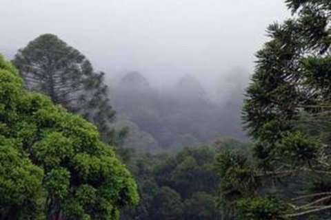 Bunya Mountains Accommodation Centre - Kawana Tourism 3